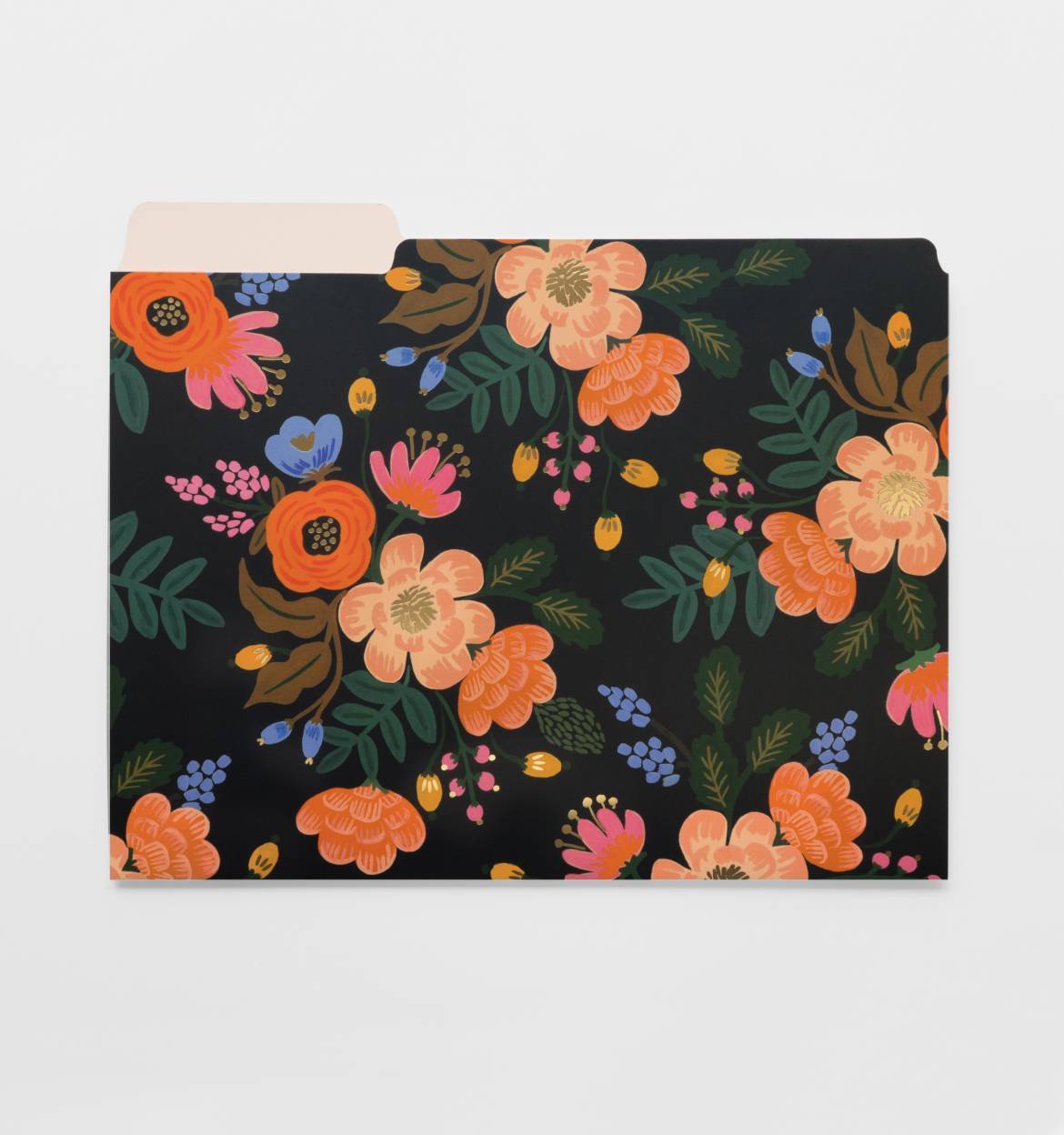 Rifle Paper Co. 6 Assorted File Folders Lively Foral