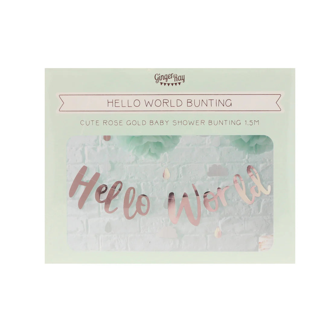 Hello World Rose Gold Baby Shower Bunting - Ginger Ray