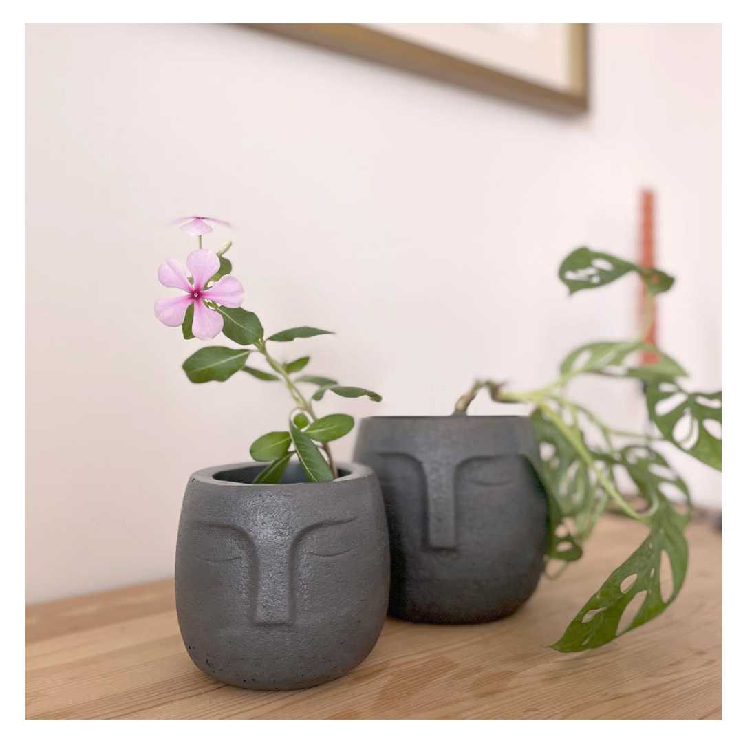 2 Saiko Concrete pots (1 Big and 1 Small)