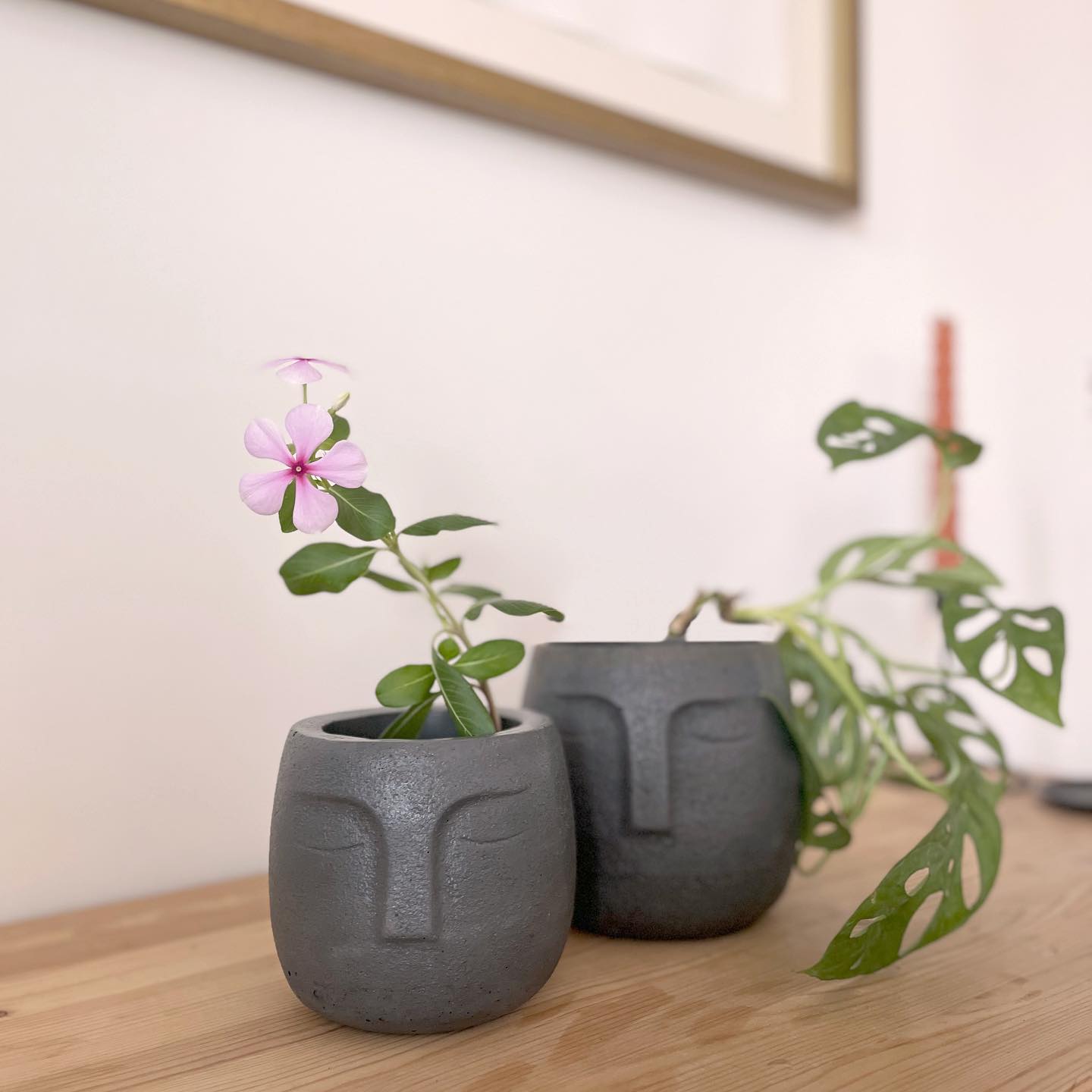 Concrete Zen Planter | Flowerpot
