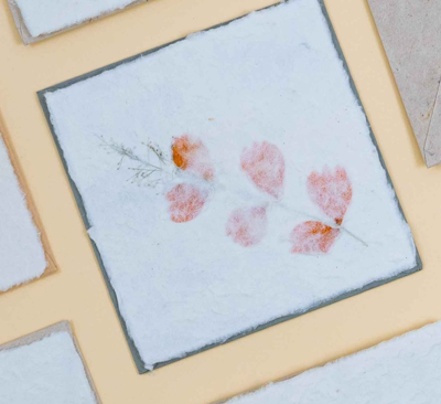 Floral Greeting Card- Pressed Bougainvillea