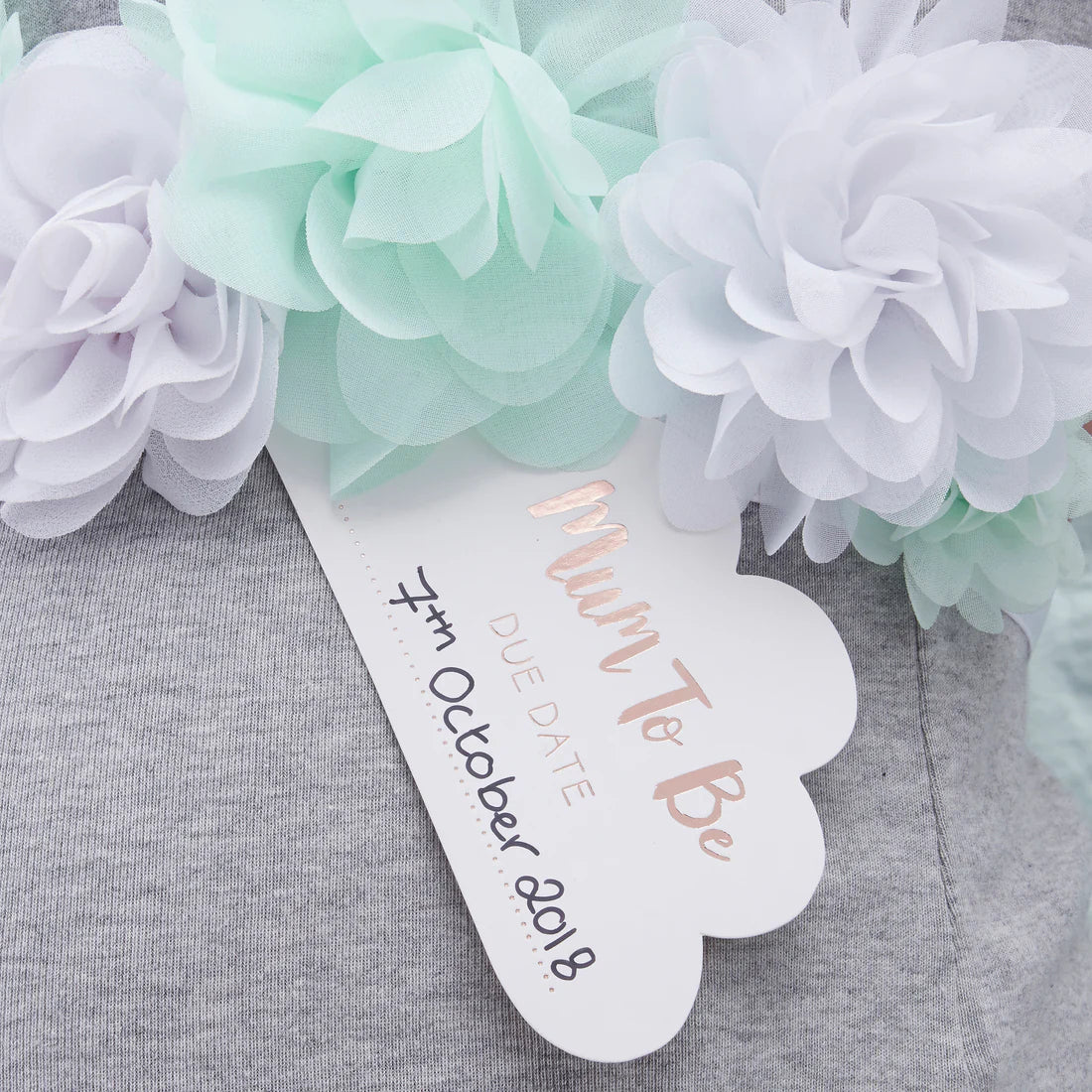 Hello World Baby Shower Bump Mummy To Be Sash