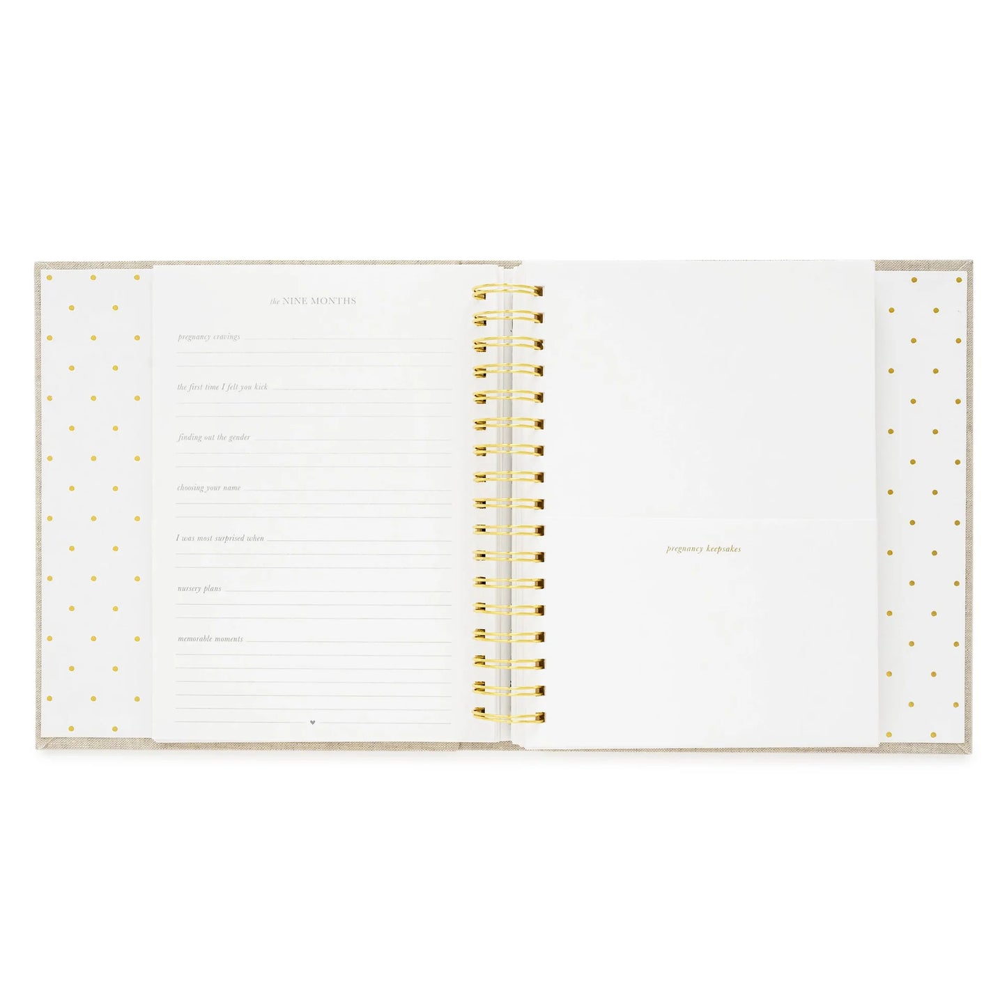 Sugar Paper Mist Green Swiss Dot Baby Book