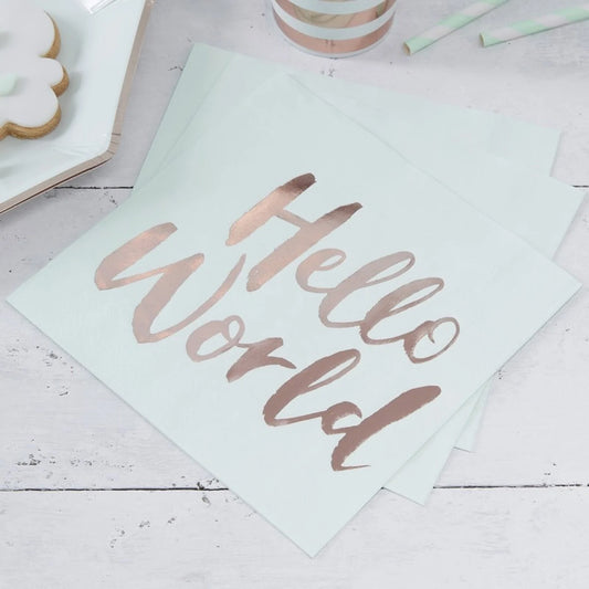 Hello World NApkins - Ginger Ray