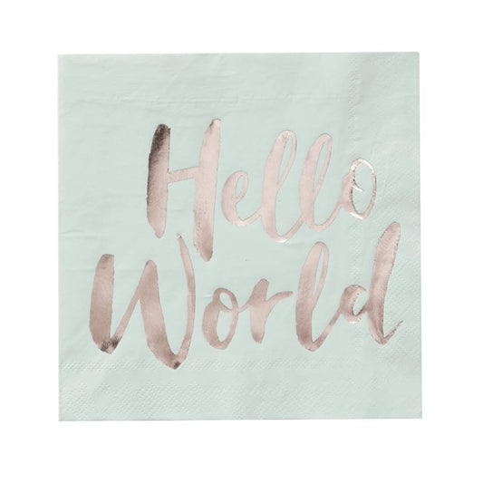 Hello World NApkins - Ginger Ray
